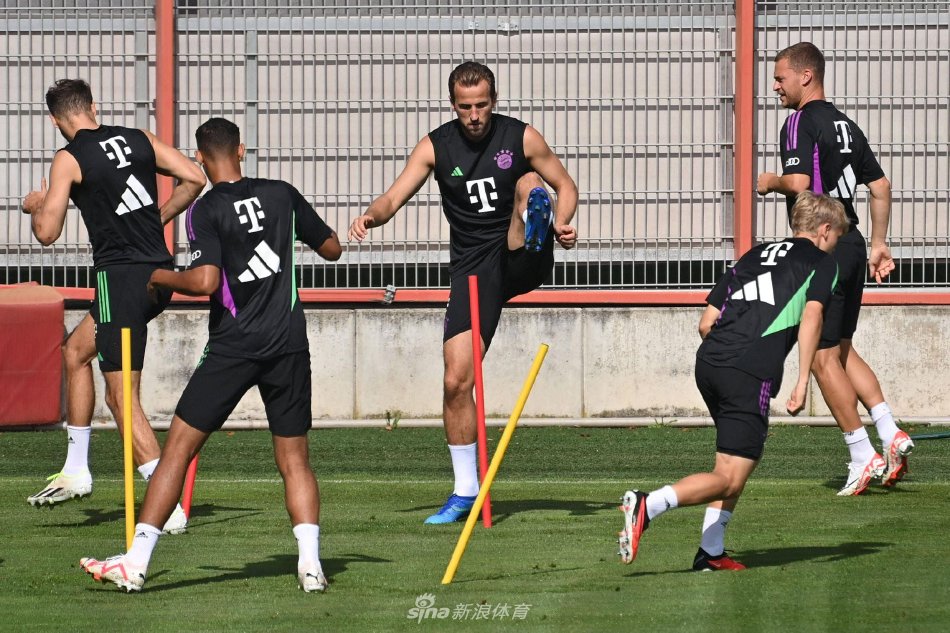 战术多样性 战术多样性